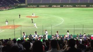 アジアプロ野球チャンピオンシップ2017　韓国対中華台北 韓国チーム応援団