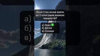 Зможете дати правильну відповіль на всі запитання?