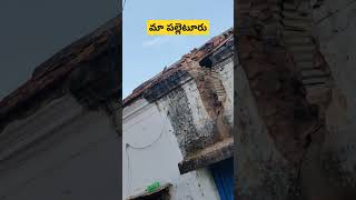 మా పల్లెటూరు పల్లె అందాలు