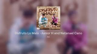 Disfruto Lo Malo  -Junior H and Natanael Cano