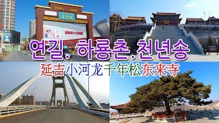 겨울 연길거리.하룡촌천년송.동래사풍경延吉小河龙东来寺风景