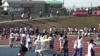 2014.11.22　東大阪11月記録会　100m　東　久野