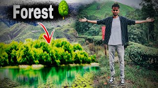 Most instagramble forest in Malaysia ( Mossy forest ) | jawigii ugu quruxda badnaa aan arko ebid