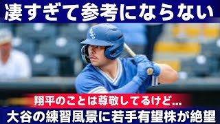 【大谷翔平】憧れが一転絶望へ   ドジャースの若手有望株達が語った大谷への驚きの本音「正直、全く参考にならない   」【海外の反応MLB 野球】