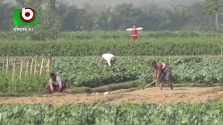 কুমিল্লায় বাড়ছে কৃষি উৎপাদন | Cumilla Agriculture | Today Bangla News