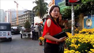 Apricot Blossom Market, Lunar New Year 2019. # 154