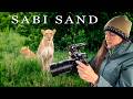 South Africa Safari Documentary 4K (Sabi Sand)