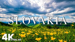 Slovakia 4K Ultra HD • Cherry Blossoms \u0026 Rolling Hills, Relaxing Piano Music