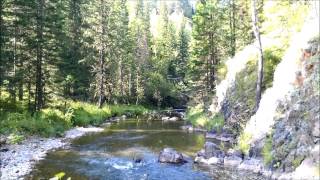 Пеший поход.  По старым следам 2015. Часть 1. Hiking in the Siberian taiga