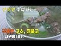 시원한 소고기무국 맛있게 끓이는 법. Beef Radish Soup, korea food recipe.  [강쉪]