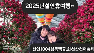 25년설연휴3박4일여행/신안1004섬동백꽃,화천산천어축제