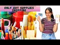 Only Art Supplies Shopping | No Budget | #learnwithpriyanshi #learnwithpari