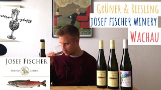 Tasting Grüner Veltliner and Riesling Wine Ghosts from Josef Fischer, Wachau