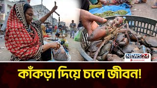 কাঁকড়া যার সম্বল | News24 Special