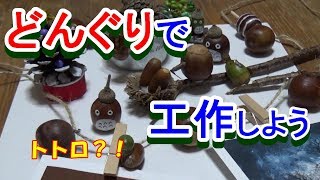 どんぐりで工作しよう～コマやトトロも作るよ！