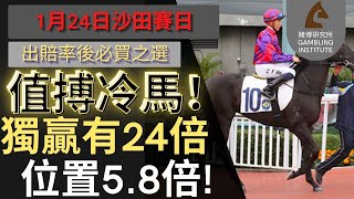 【賽馬貼士】1月24日 值搏冷馬！｜獨贏有24倍 位置都有5.8倍！值得一搏！