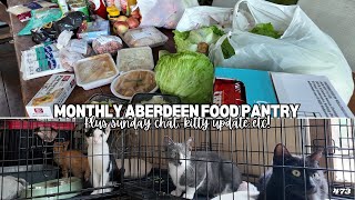 Monthly Aberdeen Food Pantry, Sunday Chat, Kitty Updates! - Off Grid Australia