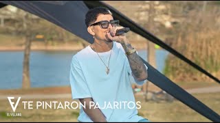 El Villano - Te pintaron pajaritos (Live Session)
