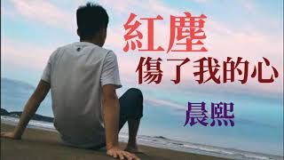 🎶🎶紅塵傷了我的心 🎶🎶  演唱：晨熙