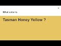 Tasman Honey Yellow color #e6c562 hex color - Yellow color - Cool color e6c562