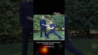 Wing Chun vs Mantis Kung Fu Techniques - Part 6 #shorts