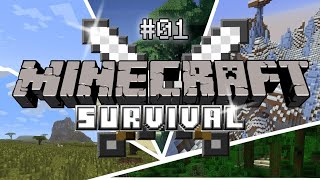 MINECRAFT SURVIVAL DAY 6|| GRIND FOR ARMOUR AND MINEING ||❣️