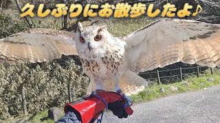 久しぶりのお散歩（動画ver）