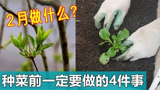 要想全年丰收, 2月种菜前必做的4件事📋 Do these in February for a whole year harvest