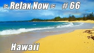 MAUI Paia, Spreckelsville Beach #66 Beaches Ocean Waves sounds HD Hawaii Baldwin Beach relaxing