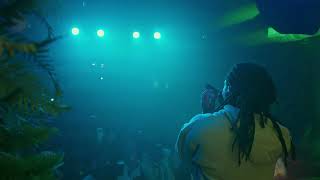 Domani - Henny & Crystals (Live Performance)
