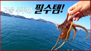 겨울철 예민한 주꾸미 많이 잡는 실전 노하우!