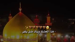 قصائد مولد الامام علي رفرف رفيف الطير قلبي وحن بحب ابوالحسنين عقلي انجن/يروحي الحيدريه علي الوائلي