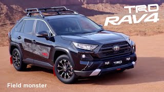 RAV4 field monster