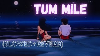 Tum Mile (Slowed+reverb) Javed Ali- Tum mile - Dreamy flyer