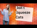 Is it OK to squeeze my cat?