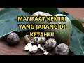 Manfaat Tersembunyi di Balik Biji Kemiri