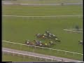 1986 Coventry Stakes