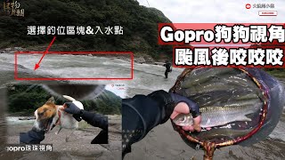 釣魚狂人4K紀錄片 颱風天後苦花咬咬咬 ，測試狗狗Gopro視角 Stream Fishing Taiwan