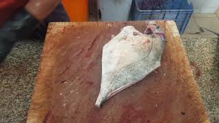 Sharp Knife Cutting Daimond Trevally with Skilled Ways//Trevally  Fish Cutting Specialist in Aisa