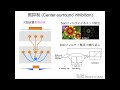 講演 「視覚サリエンスへの心理学、神経科学、情報科学的アプローチ」吉田 正俊 特任准教授 北海道大学 人間知・脳・ai研究教育センター chainセミナー センター教員就任記念シリーズ 第3回