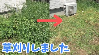 庭の雑草がすごいので草刈りしました！