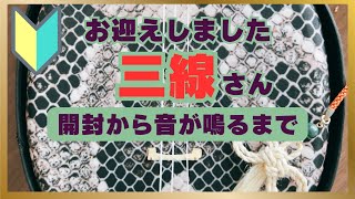 初めての三線　開封から音が鳴るまで