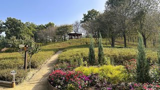 호수가 보이는 공원산책 | 시흥시 오난산전망공원 | Strolling Through a Park with a Scenic Lake View