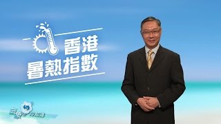 香港暑熱指數