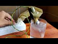 dipping philips led bulb 100 watt glass bulb and cfl into water to see what happen next