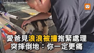 愛爸見浪浪被撞抱緊處理 突摔倒地：你一定更痛｜浪浪｜流浪動物｜狗｜車禍｜善舉