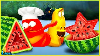 Larva Tuba 20224: Food Shaping / Cartoon Movies Top 50 Episode/ Mini Series From