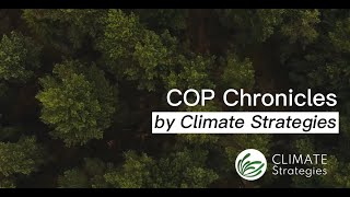 COP Chronicles by Climate Strategies: Ep. 1 #COP27