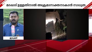 പടയപ്പയെ ഇനി പ്രകോപിപ്പിക്കരുത്; മൂന്നാറിലെ ആന മദപ്പാടിലെന്ന് മുന്നറിയിപ്പ്