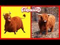 FERDINAND CHARACTERS IN REAL LIFE 2024 🐂  👍🏻@botobototv